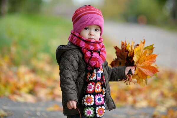 Chłopiec trzyma liście w parku jesienią
