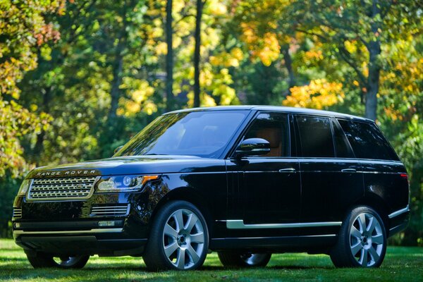 Grande voiture noire dans la nature