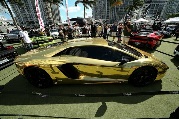 Golden Lamborghini avendator