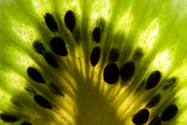 Foto macro dentro del kiwi