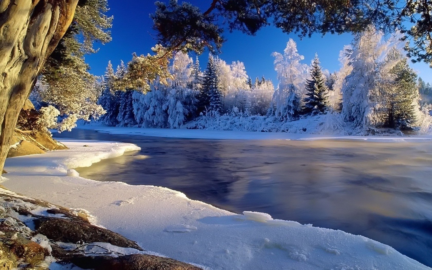 inverno ghiaccio fiume foresta alberi cielo