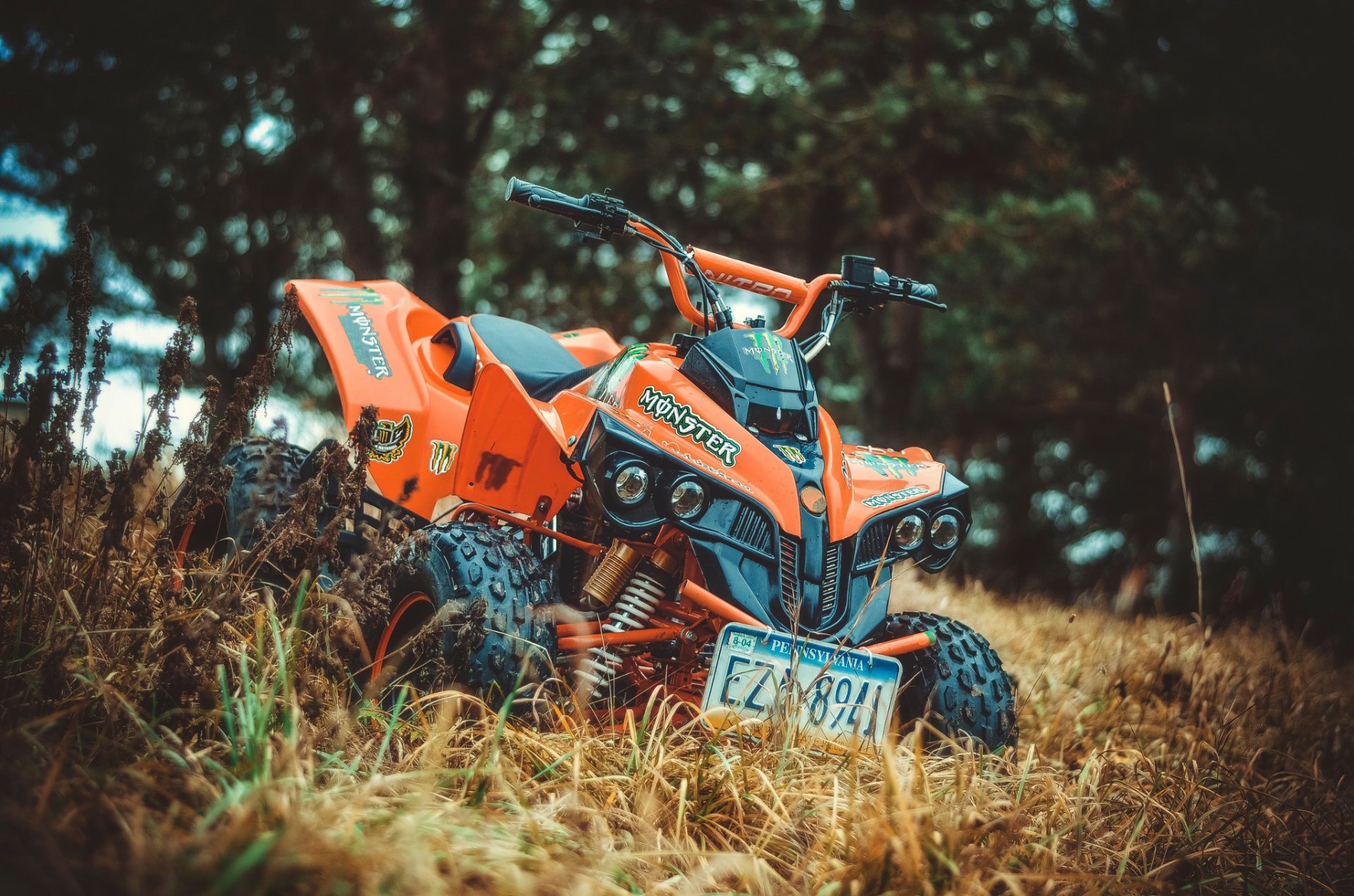 atv ansicht gras