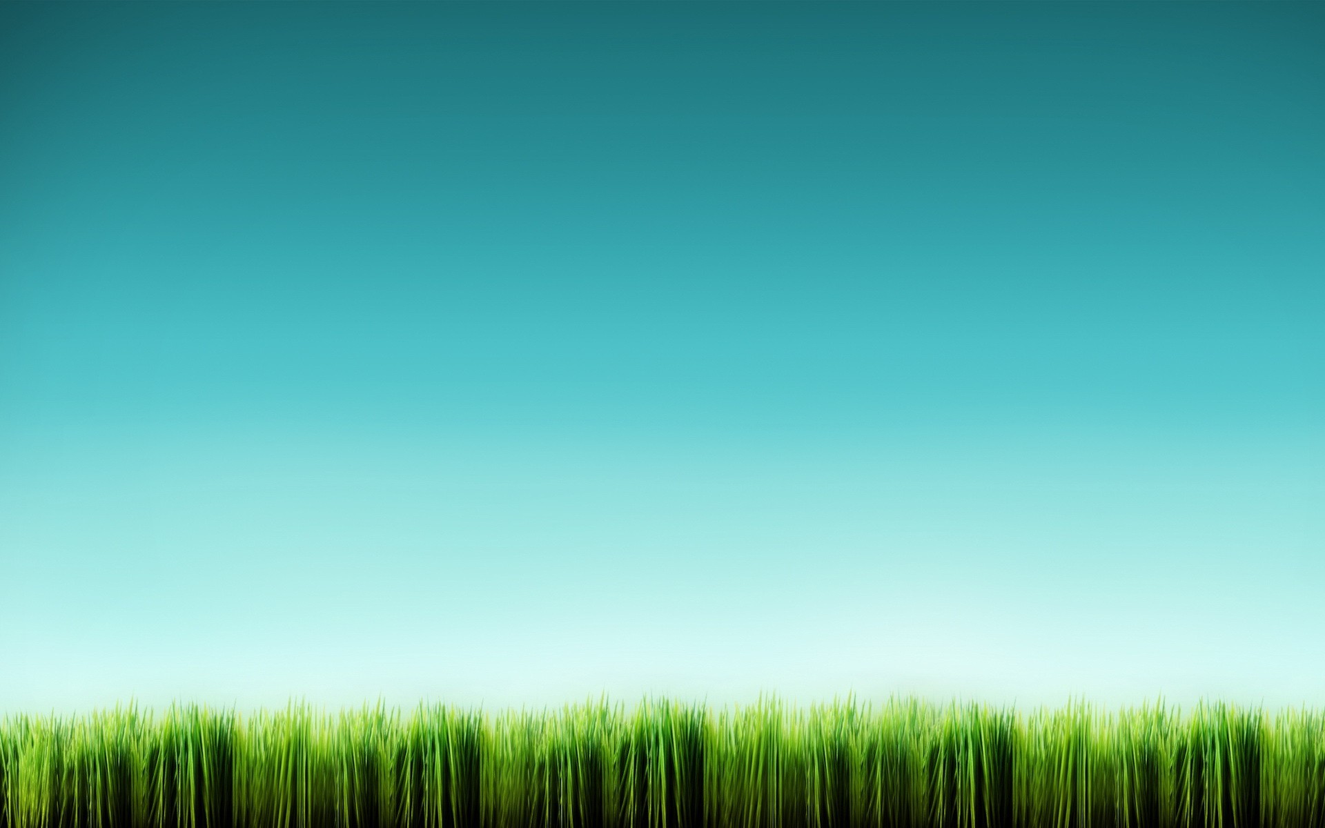 herbe bleu minimalisme