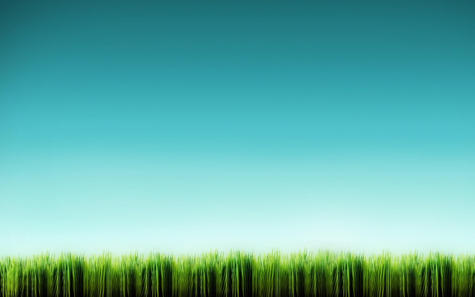 grass blue minimalism