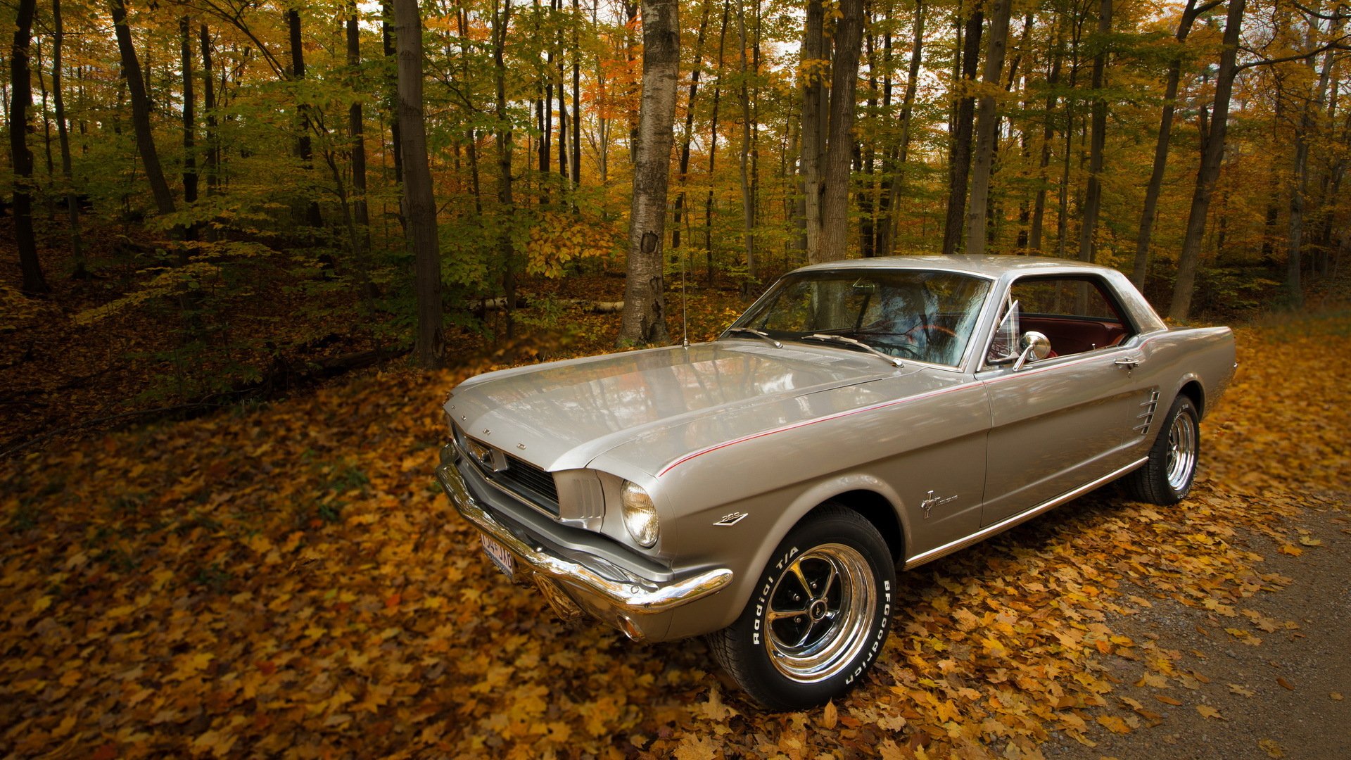 1966 ford mustang осень дорога