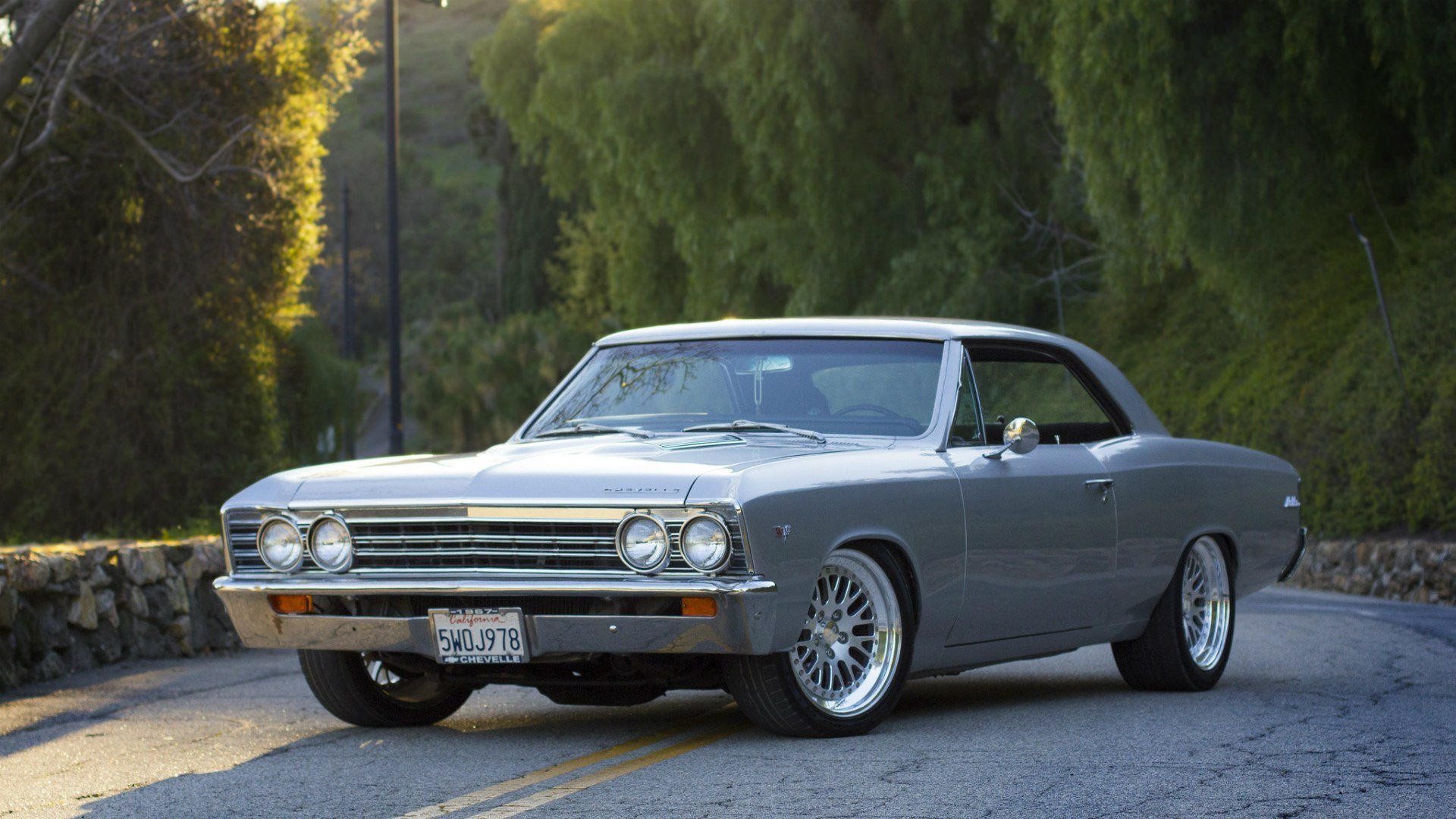 chevrolet chevelle malibu 1967 szary coupe chevrolet chevelle widok z boku droga las