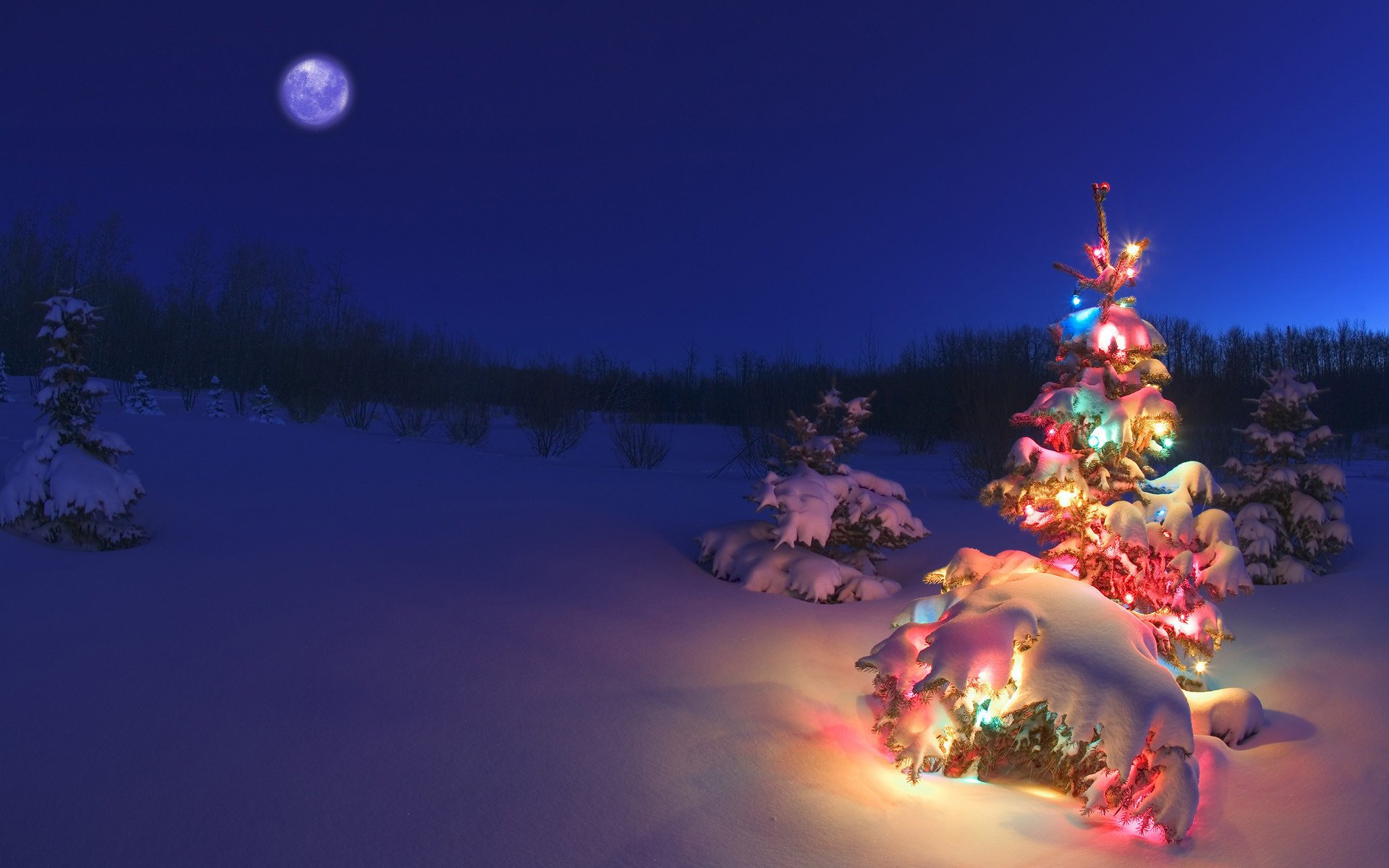 tree snow garland