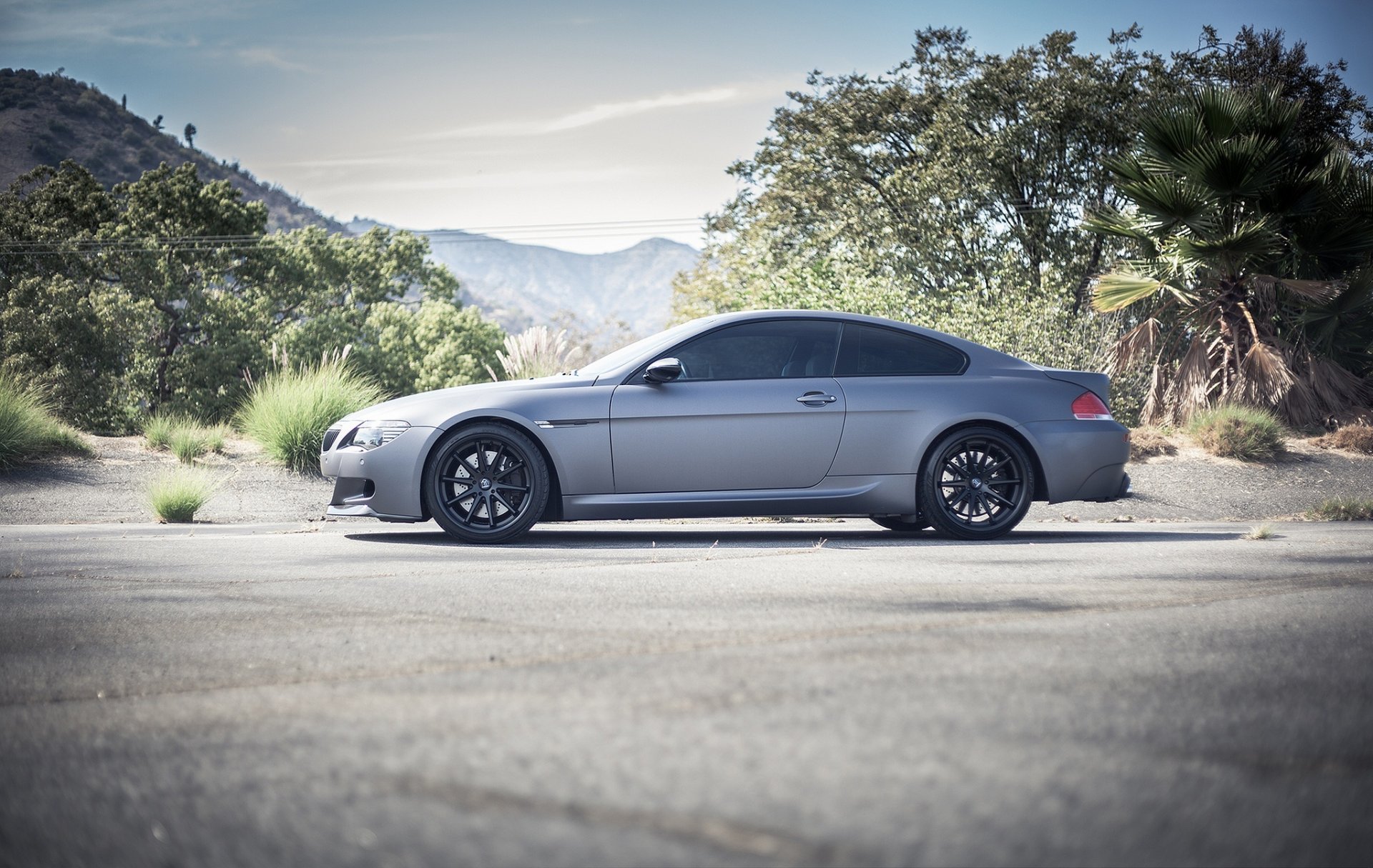 bmw m6 e63 mate gris ruedas negro bmw coupe perfil llantas negras árboles