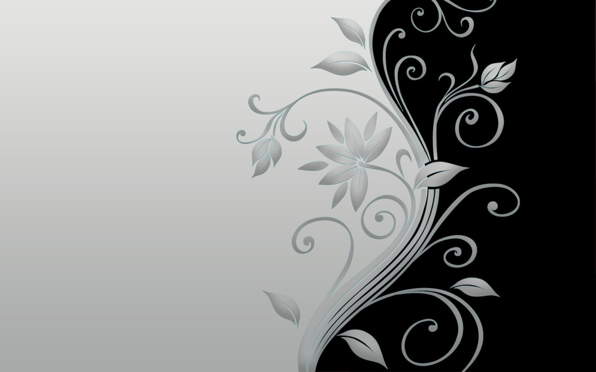 flower blossom black grey minimum