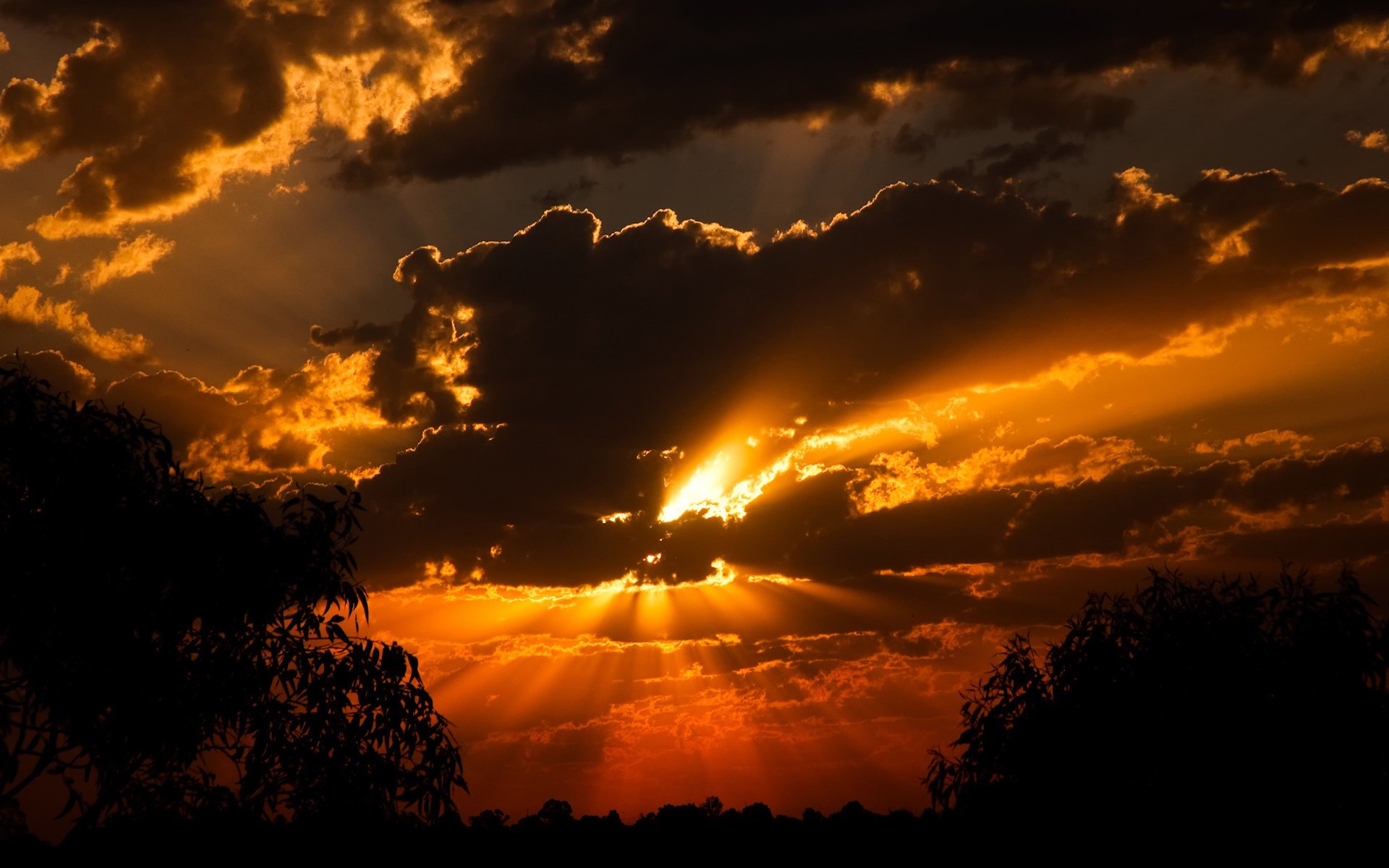 puesta de sol sol nubes vista bosque sombras