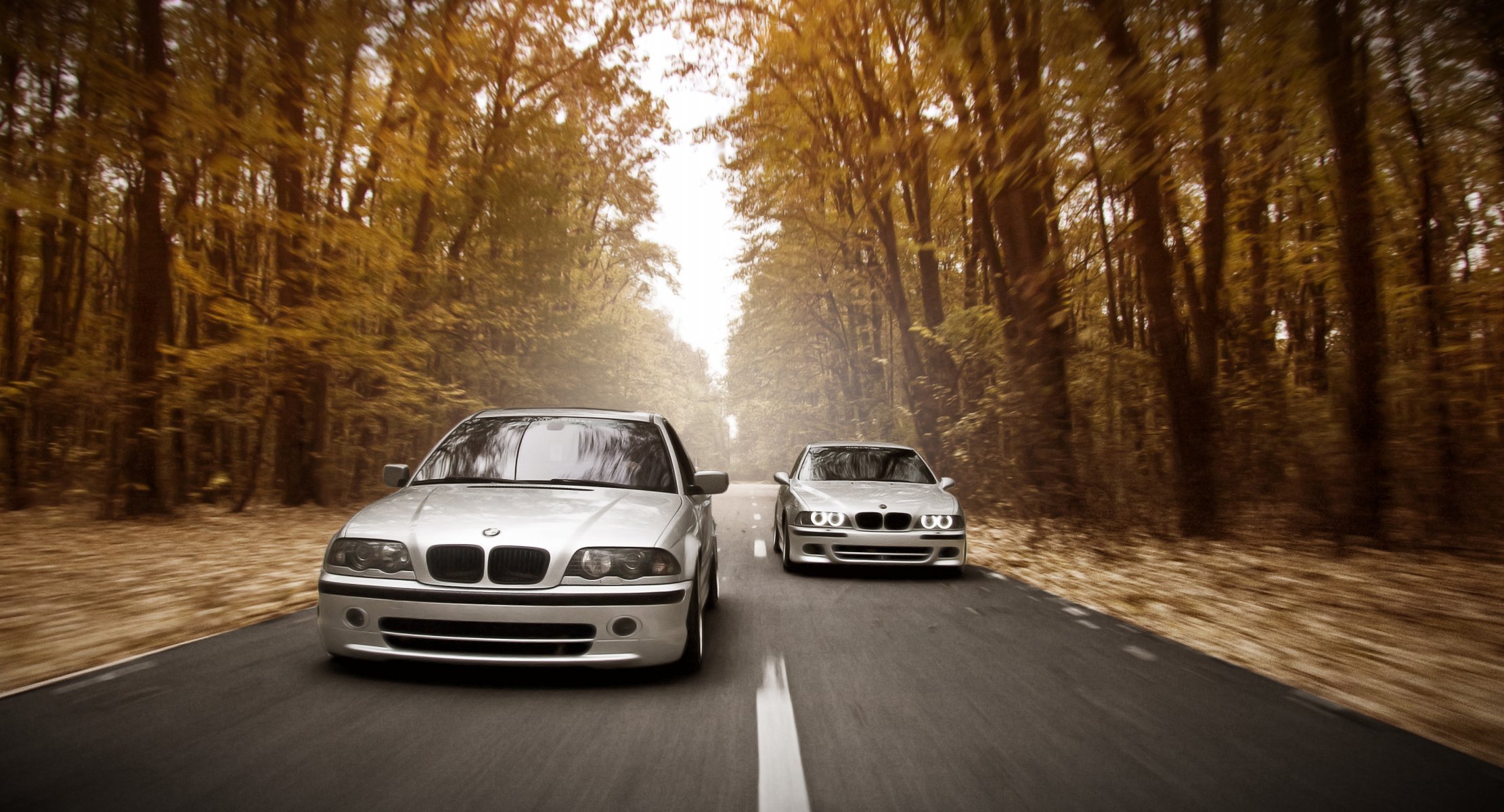 bmw e39 e46 m5 posición de funcionamiento carretera velocidad otoño bosque faros