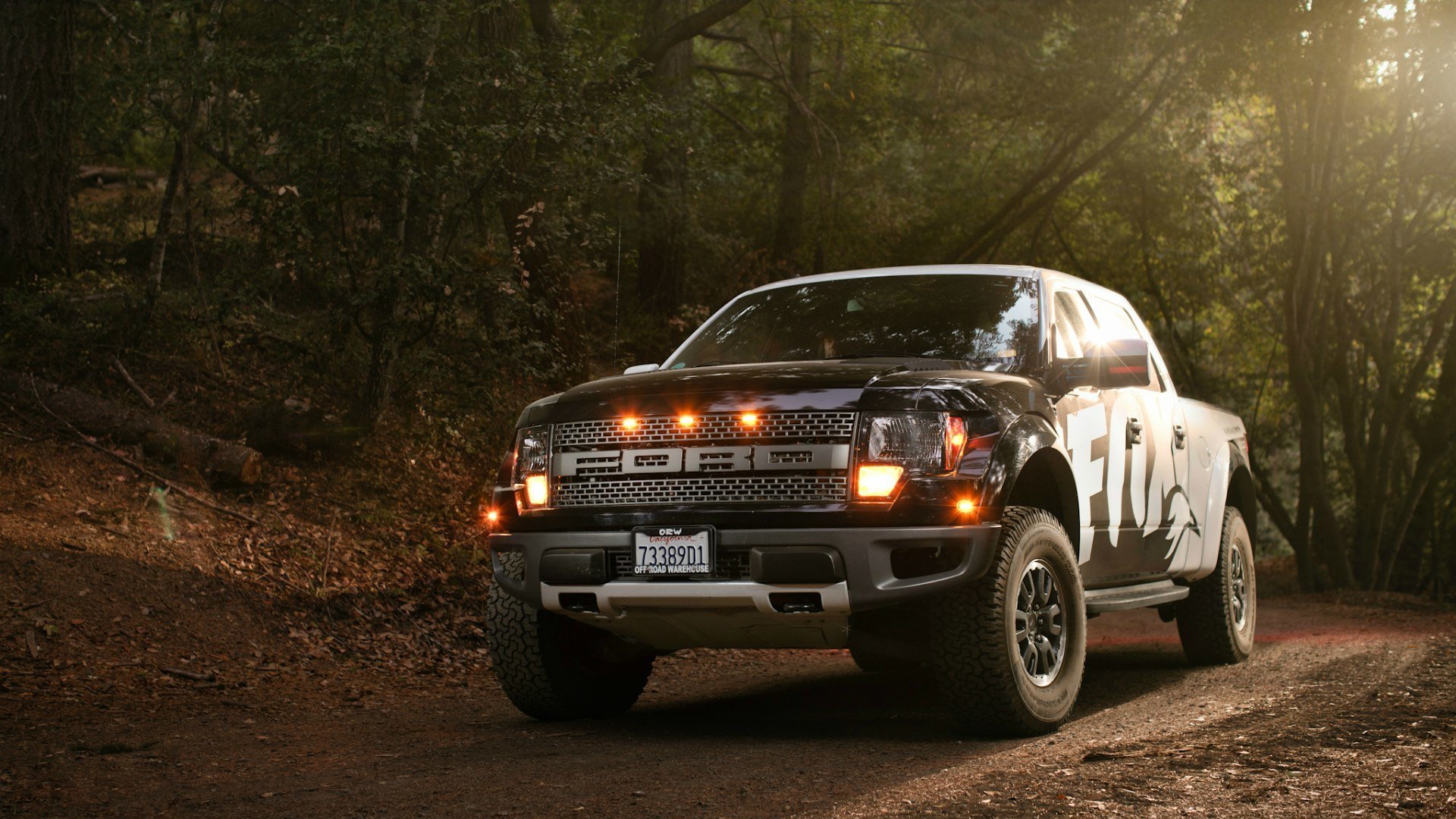 форд f-150 raptor лес листья огни