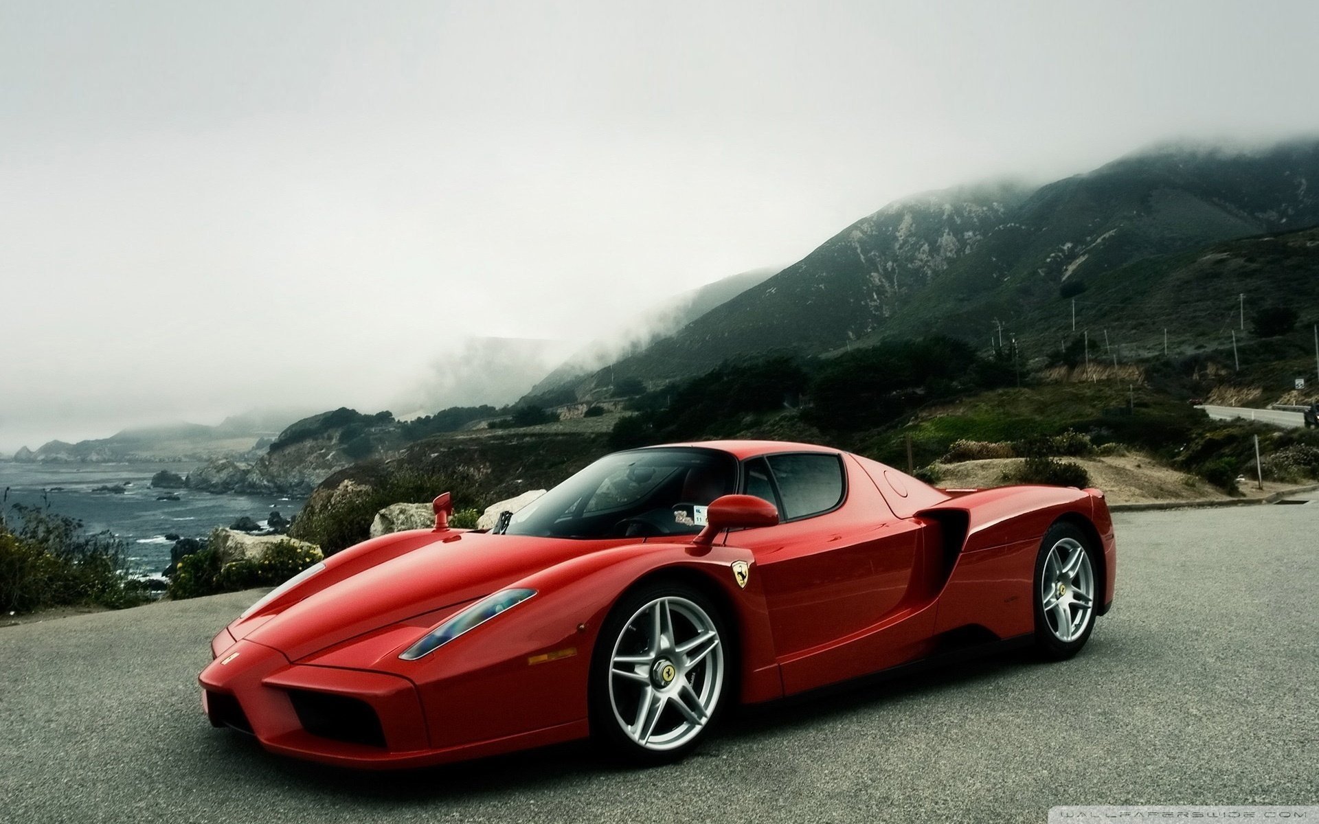 ferrari enzo enzo red ferrari ferrari ferrari sports car car wheelbarrow