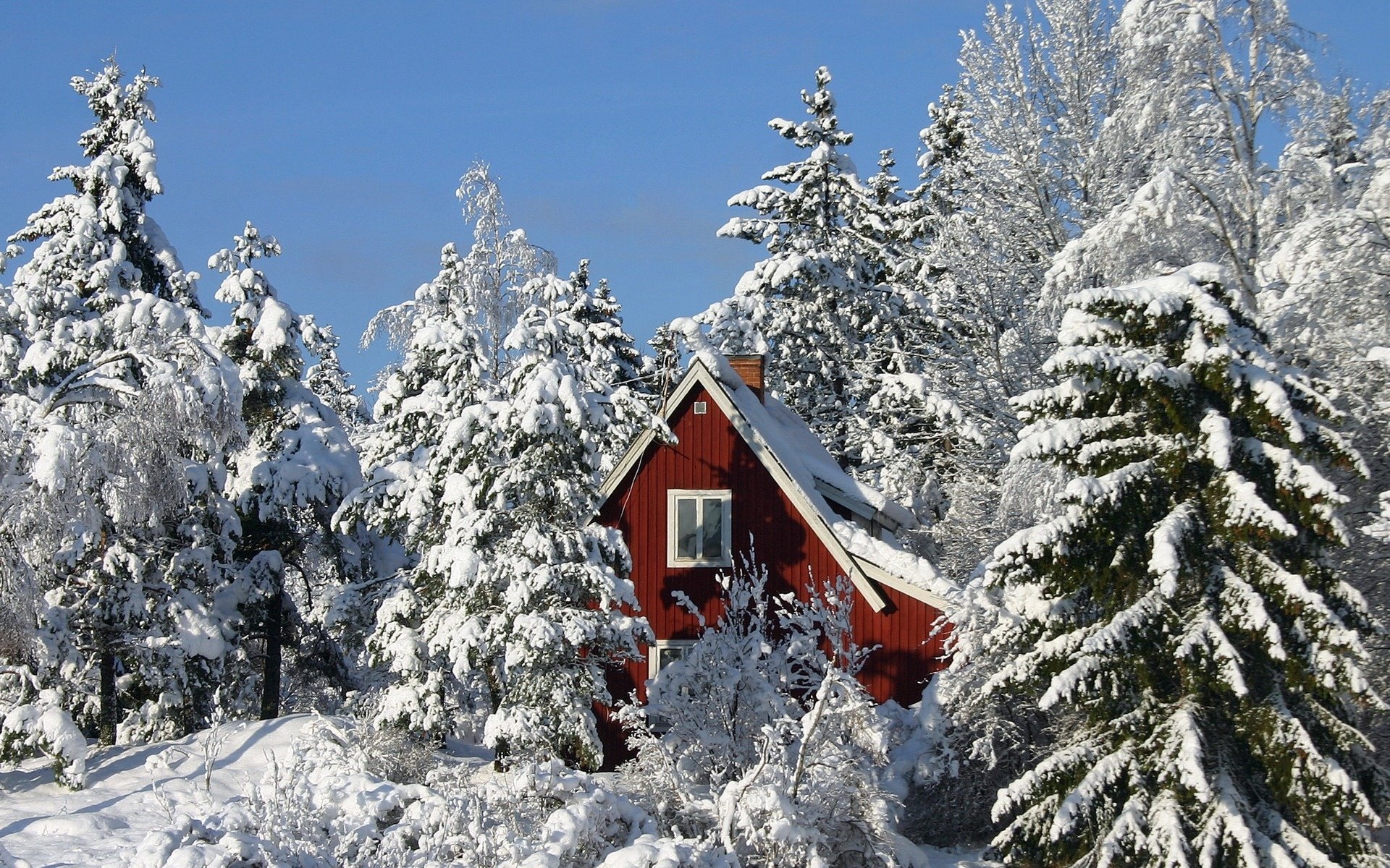 zama forêt neige maison fenêtre ciel arbres