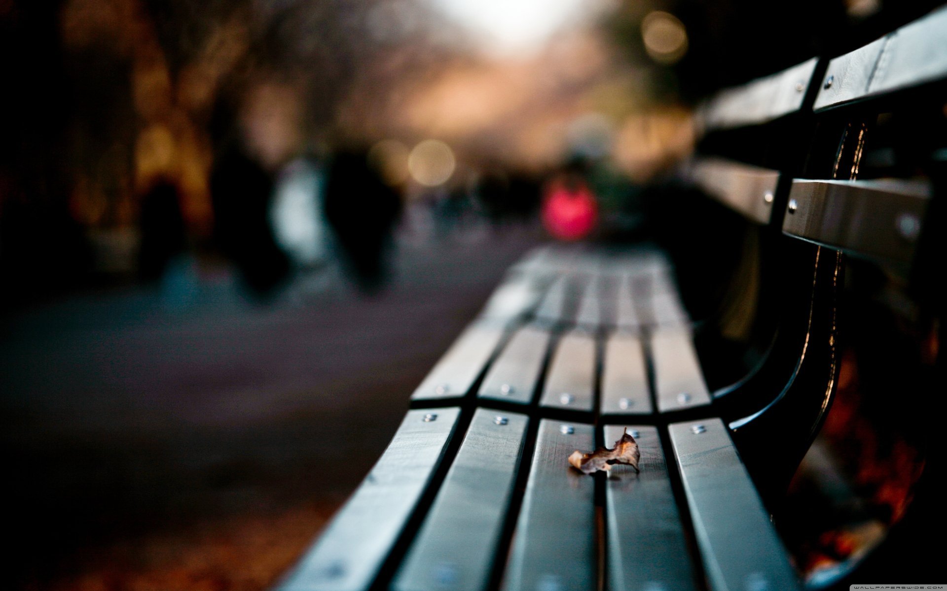 bank park herbst blatt blatt sehnsucht