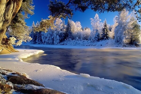 Wunderbare und fabelhafte Winterlandschaft