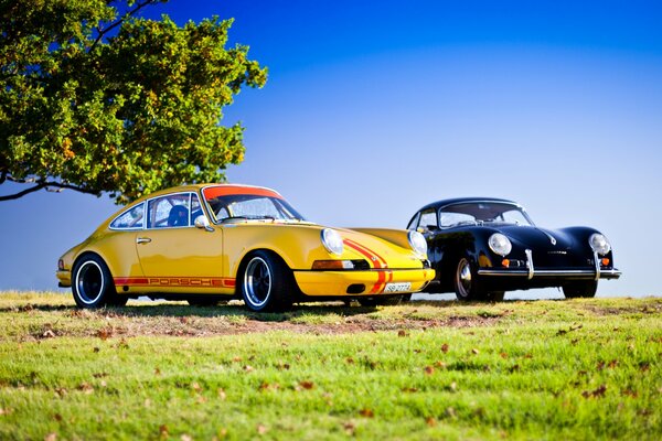 Dwa samochody marki Porsche na tle natury
