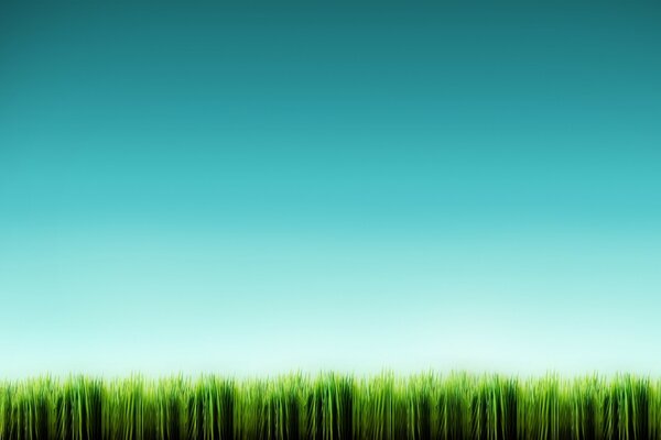 Schöner blauer Himmel im Gras