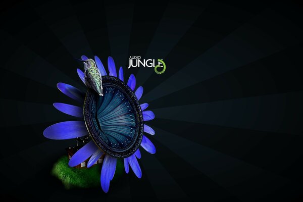 Gramophone-fleur avec oiseau jangl