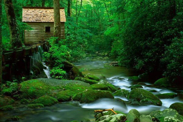 Haus im Wald am Flussufer