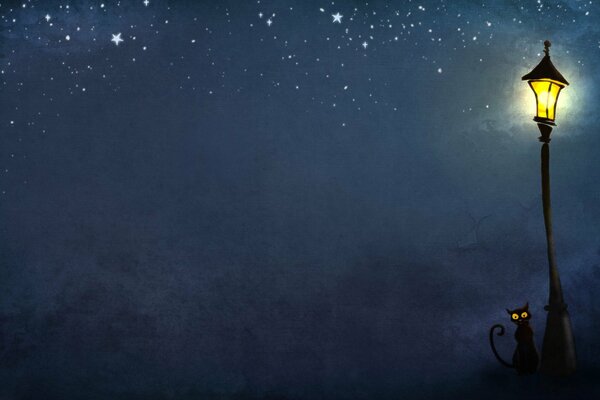 Gatto sotto una lanterna accesa in una notte stellata