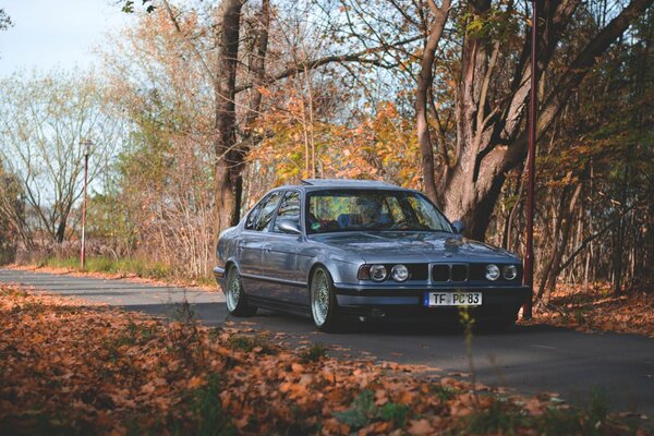Samochód BMW na jesiennej drodze