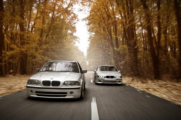 Bmw Guida sulla pista autunnale ad alta velocità
