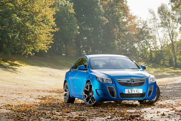 Car blue sedan in the woods