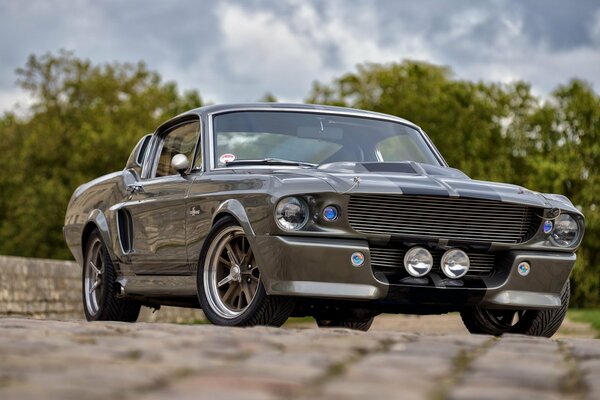Klasyczny samochód Mustang na łonie natury