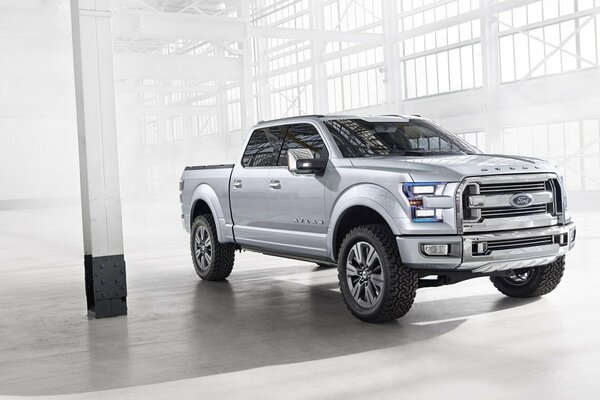 Ford pick-up est très bon pour les voyages en famille