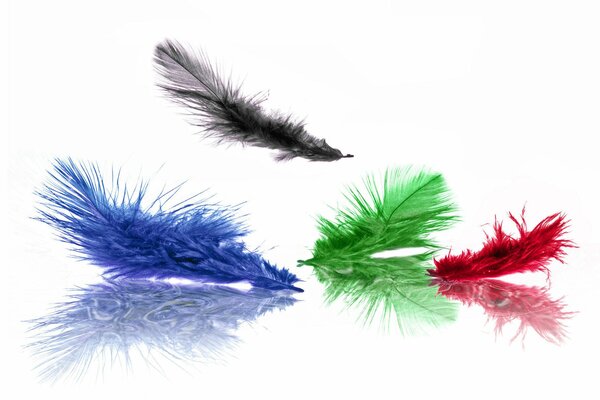 Multicolored feathers fall on the table