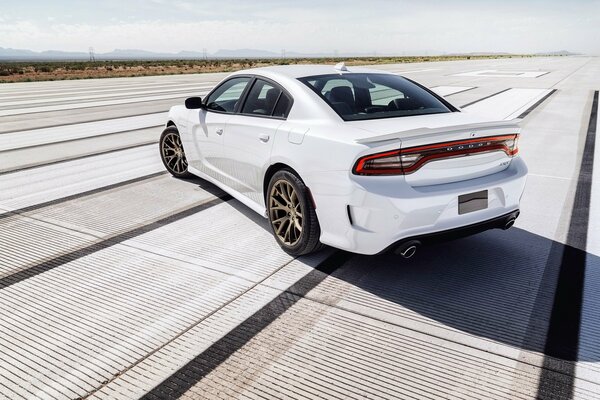 Biały Dodge Charger tle
