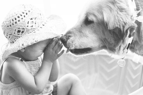 Der Hund leckt dem Kind die Nase