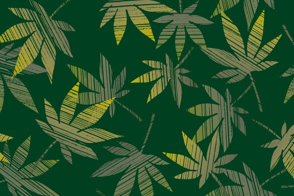 Fondo de pantalla verde temático. Hojas, cáñamo, color suave