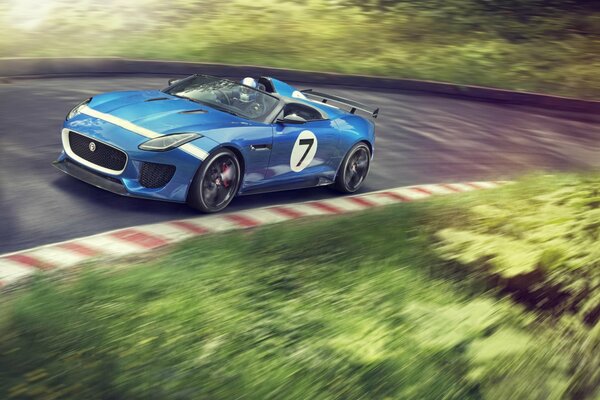Jaguar blu sulla pista in curva
