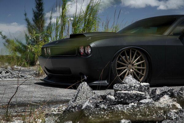 Black matte challenger srt8 car