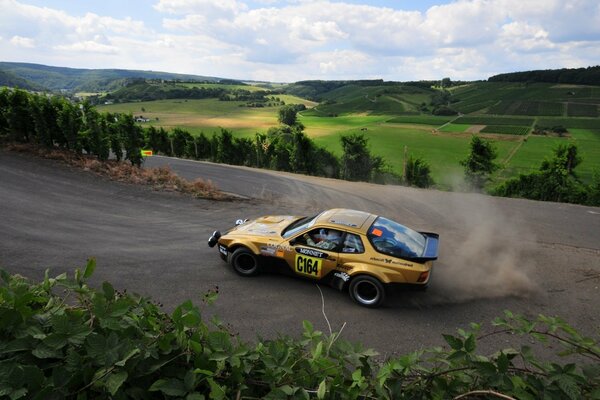 Rally en la naturaleza verde