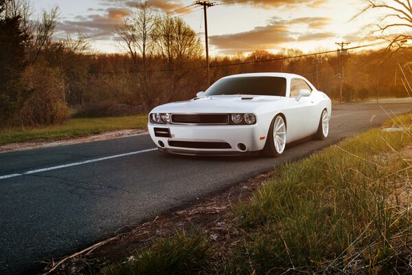 Dodge blanco está en el camino