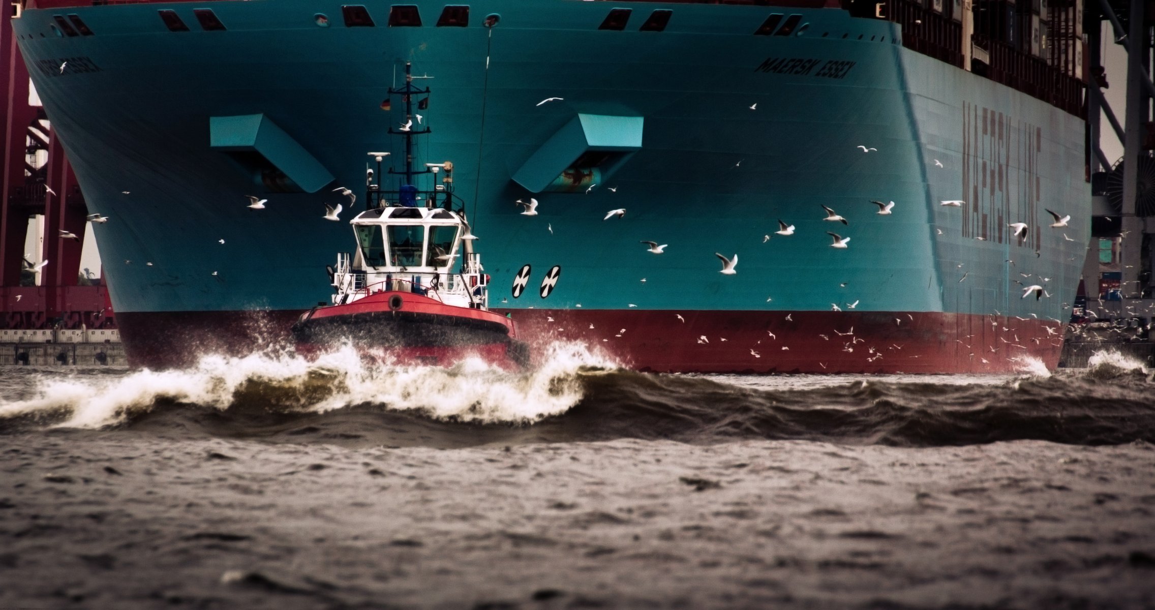 maersk line maersk essex maersk containerschiff schiff tank schlepper möwen meer abfall rumpf bord vögel wasser