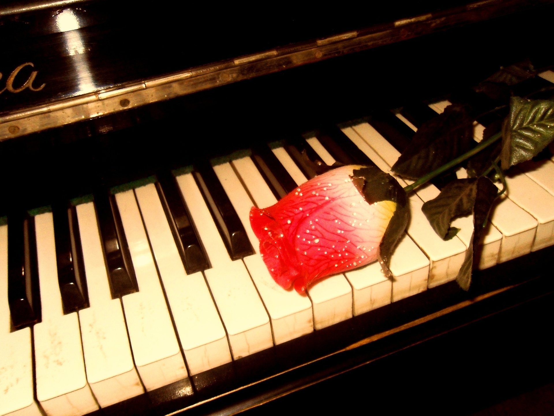 música rosa piano