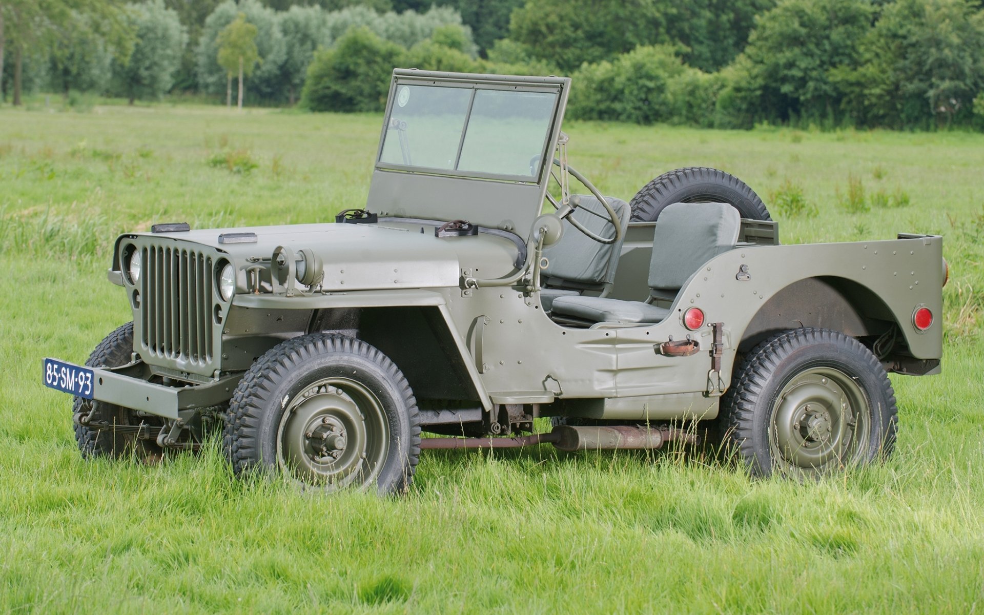 willis mb 1942 jeep suv przód trawa drzewa