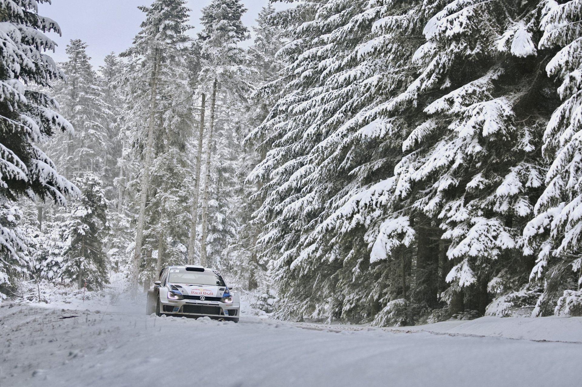 volkswagen polo wkr sébastien ogier rallye winter wald auto fahrten