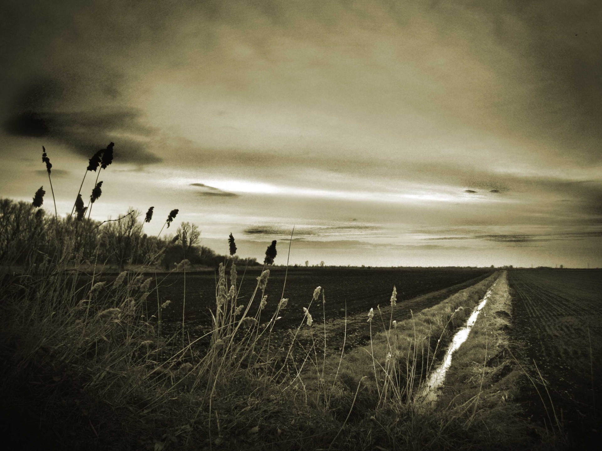 straße sehnsucht dunkel