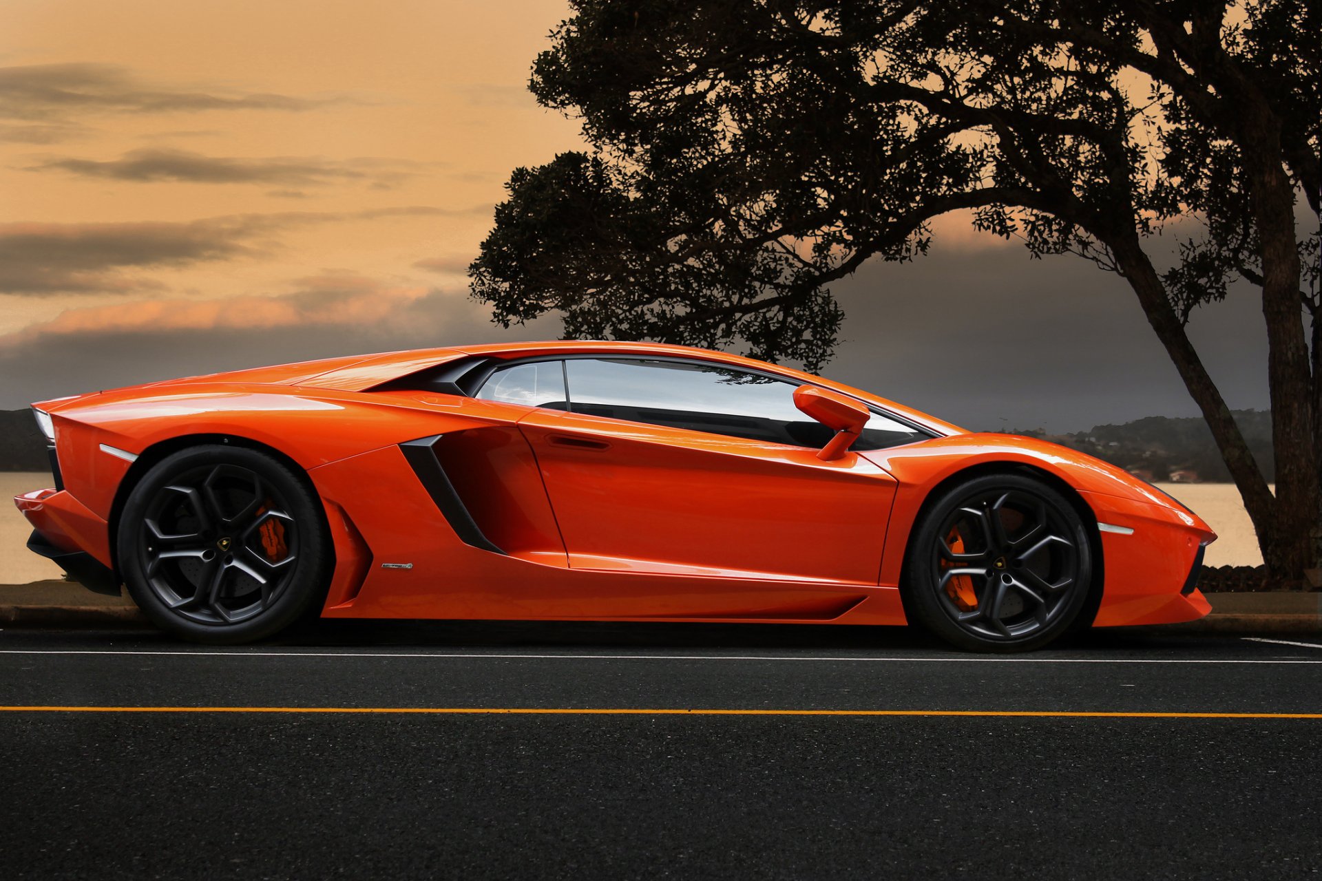 lamborghini aventador lp700-4 naranja superdeportivo árbol cielo lamborghini aventador