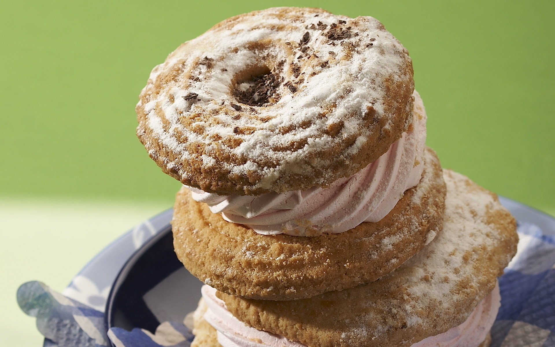 delicioso comida azúcar en polvo dulzura postre galletas