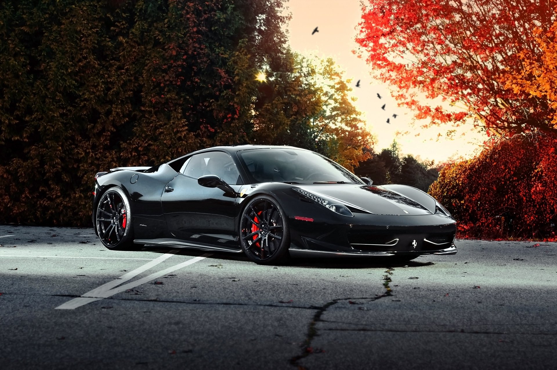 ferrari 458 italia schwarz herbst bäume himmel vögel ferrari italien