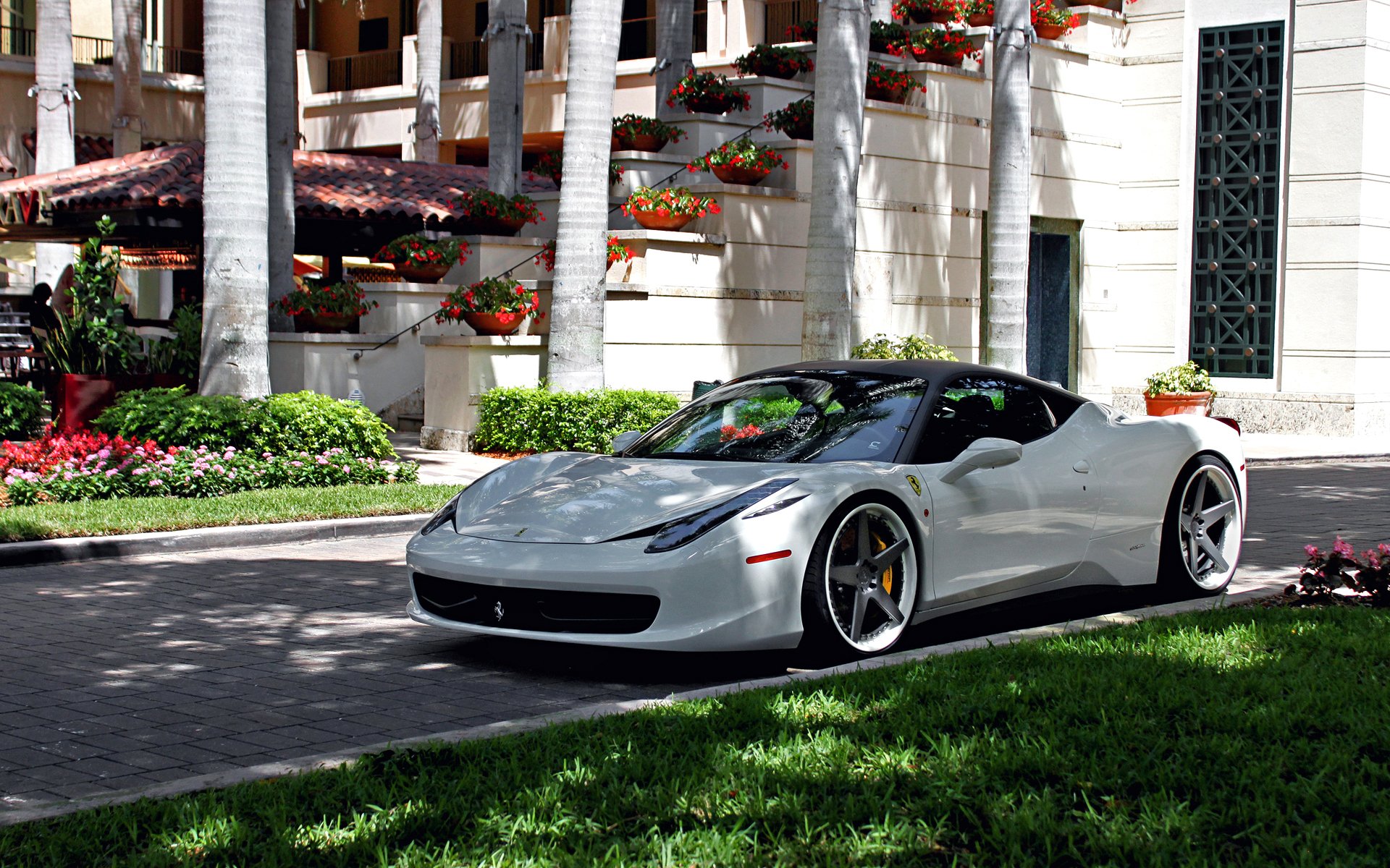 ferrari italia white tuning wheels yard grass villa