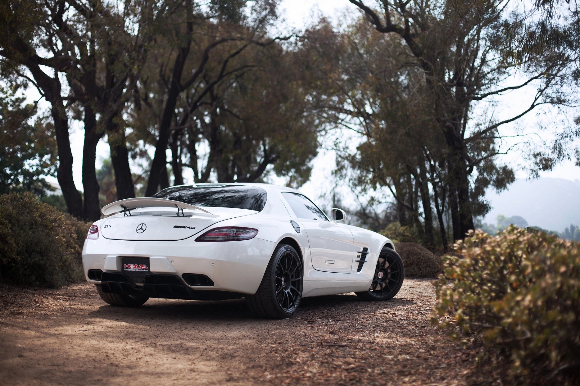 mercedes benz sls amg белый мерседес бенц слс амг вид сзади антикрыло деревья небо