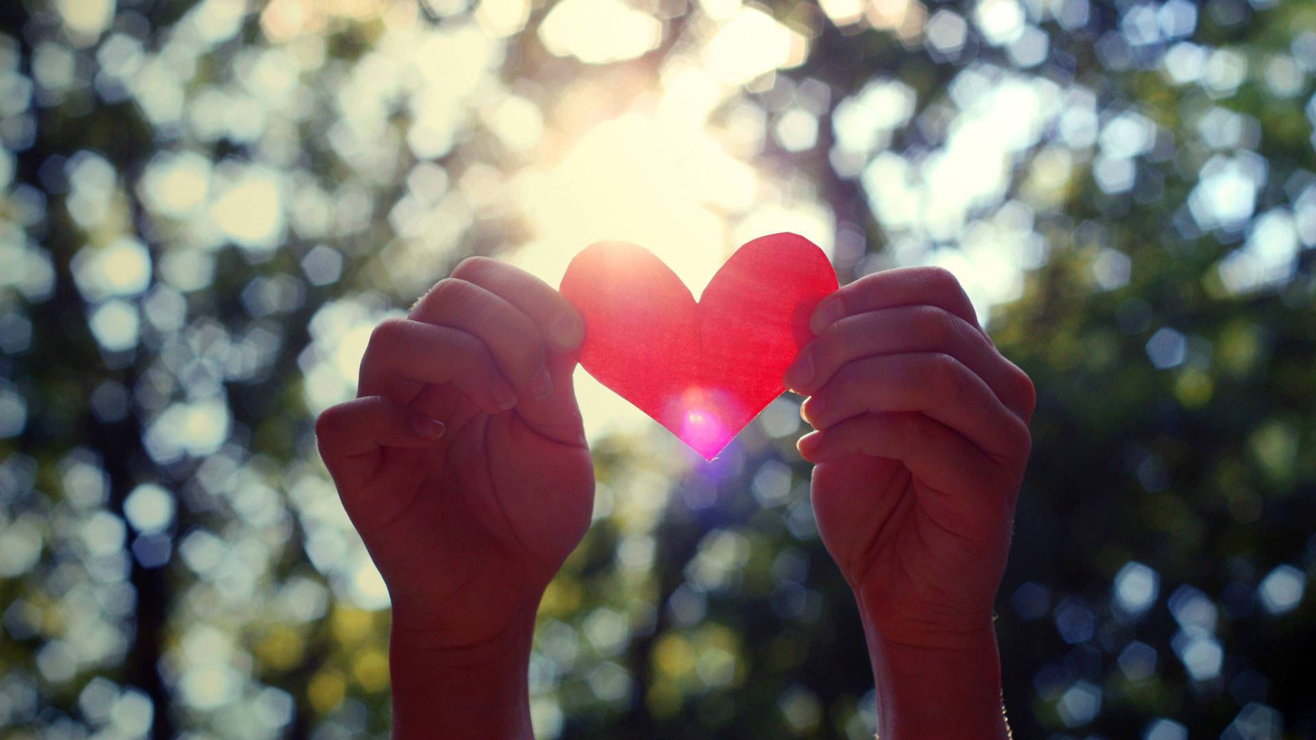 saint valentin mains coeur valentine