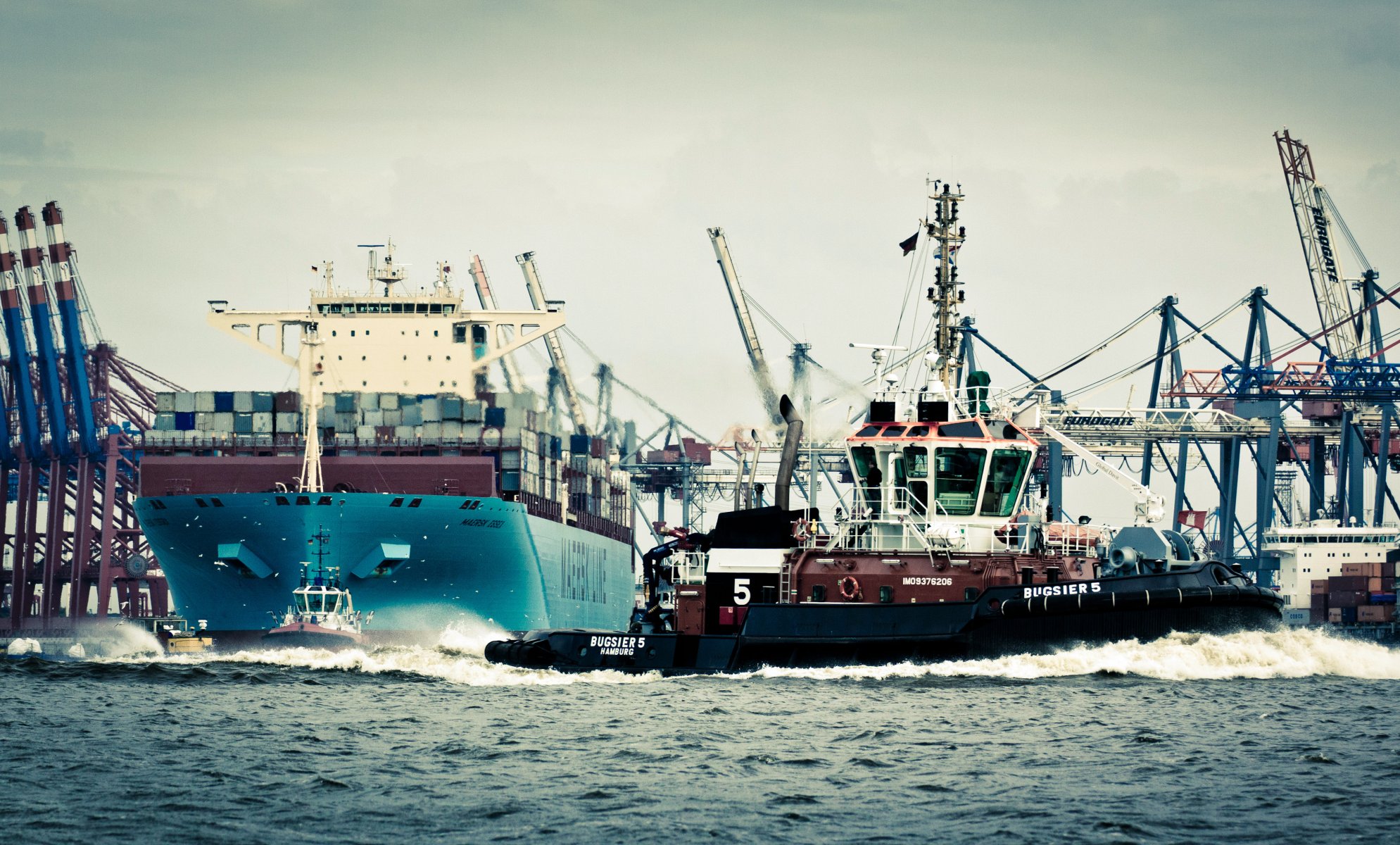 maersk line maersk essex maersk containerschiff schiff tank schlepper möwen meer abfall rumpf bord vögel wasser deutschland hafen hamburg kräne